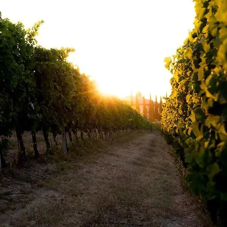 Διαμέρισμα Residenza Ca D'masseu *