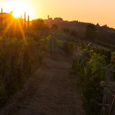 Residenza Ca D'masseu Διαμέρισμα Calamandrana