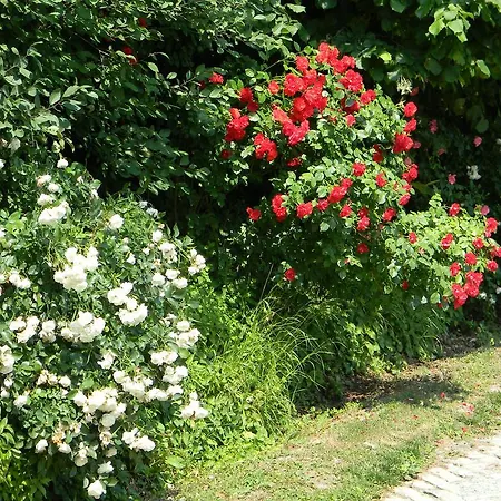 Apartman Residenza Ca D'masseu