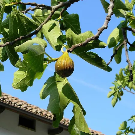 Διαμέρισμα Residenza Ca D'masseu