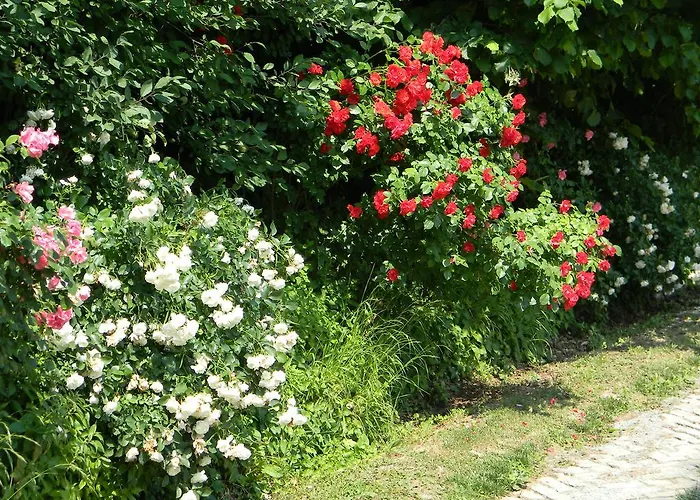 아파트 Residenza Ca D'masseu